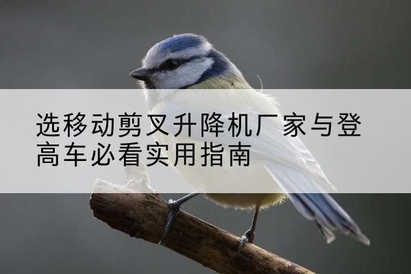 石屏电动升降机厂家-选移动剪叉升降机厂家与登高车必看实用指南
