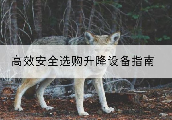 石屏升降货梯厂家推荐-*安全选购升降设备指南
